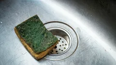 Was an einem gewöhnlichen Spülschwamm nicht stimmt – und womit du ihn besser ersetzen solltest